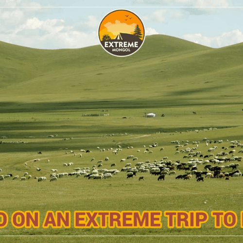 extreme mongol